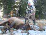 Successful elk hunt photo