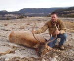 Elk hunt photo